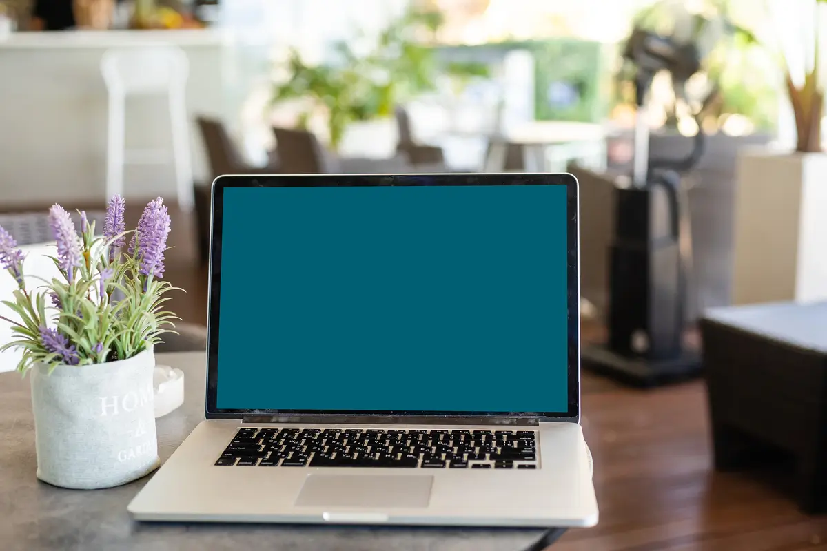 How to Use the Rentvine Owner Portal: A Guide for Property Owners